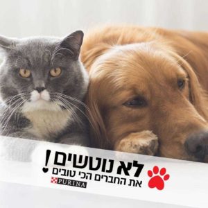 פורינה ישראל בקמפיין נגד נטישות חיות מחמד \ צילום: יחצ