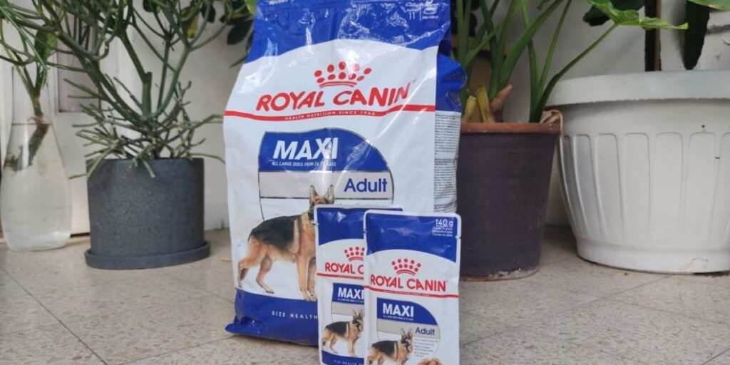 מזון משולב לכלבים של רויאל קנין